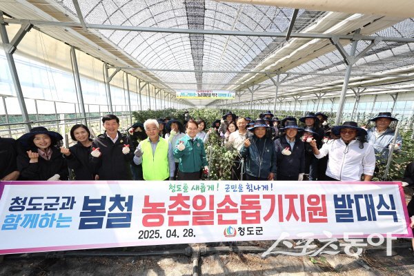 김하수 청도군수와 유관기관 직원들이 매전면 온막리 일대에서 농촌 일손을 돕고 있다. 사진제공 ㅣ 청도군