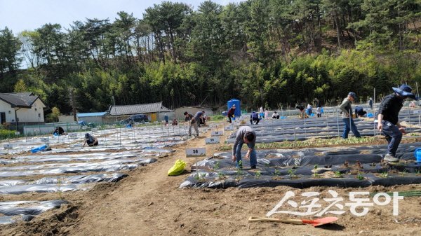 한수원이 경주 현곡면과 구정동 일대에 직원 주말농장을 운영해 지역 과 유대를 강화한다. 사진제공 ㅣ 한수원