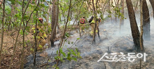 대구소방안전본부가 대구 북구 노곡동 산불 현장에서 확산 저지에 총력을 다하고 있다. 사진제공 ㅣ 대구시