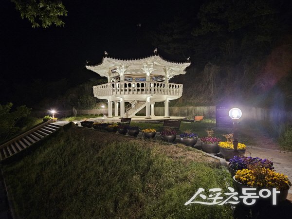 청도군 운문면 망향정이 야긴 조명 설치공사를 마치고 새로운 명소로 단장했다. 사진제공 ㅣ 청도군