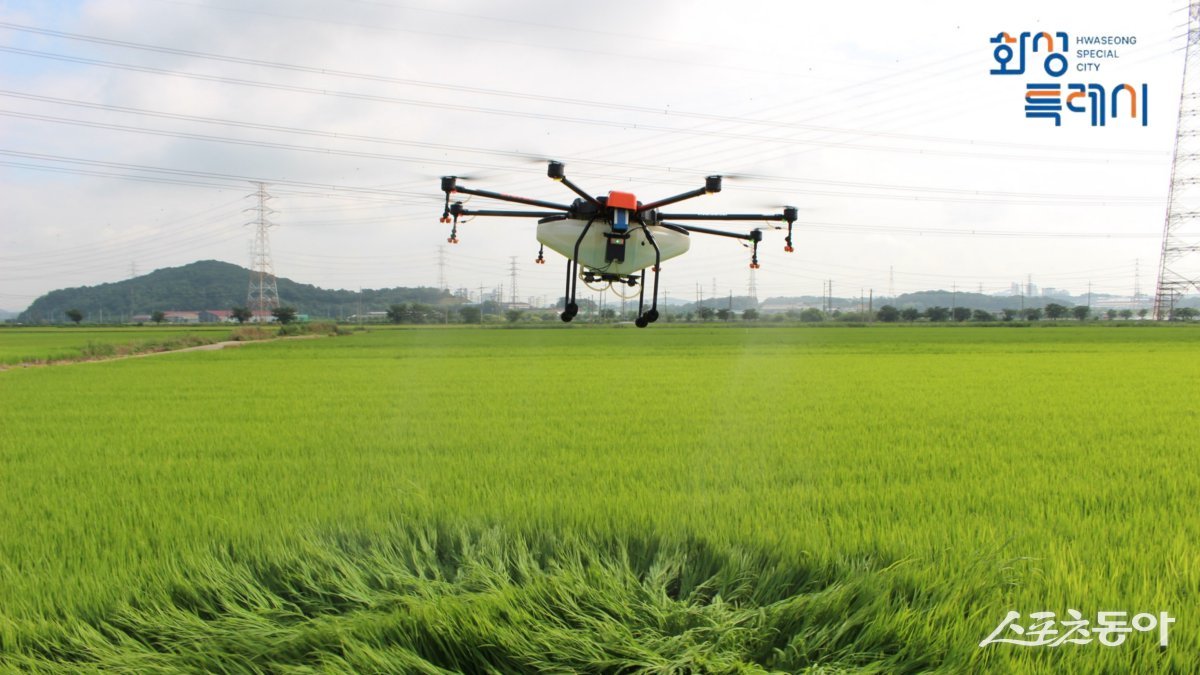 드론을 활용한 병충해 방제 작업 모습. 사진제공|화성시