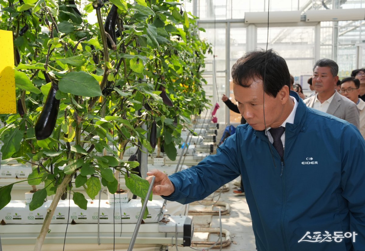 조병옥 음성군수는 지난 29일 스마트농업 분야의 선진 우수 정책을 벤치마킹하고, 군의 스마트농업 발전을 위한 전략을 모색하기 위해 경북 상주시를 방문했다. 사진제공｜음성군