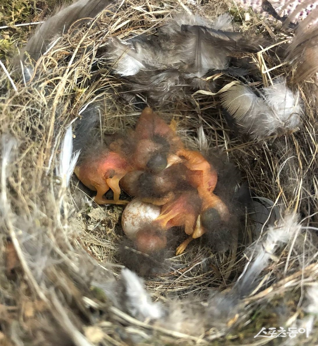 사진제공ㅣ경기도북부청