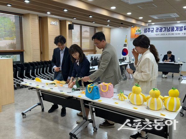 성주군 관광기념품개발육성위원회가 진행되고 있는 모습. 사진제공ㅣ성주군