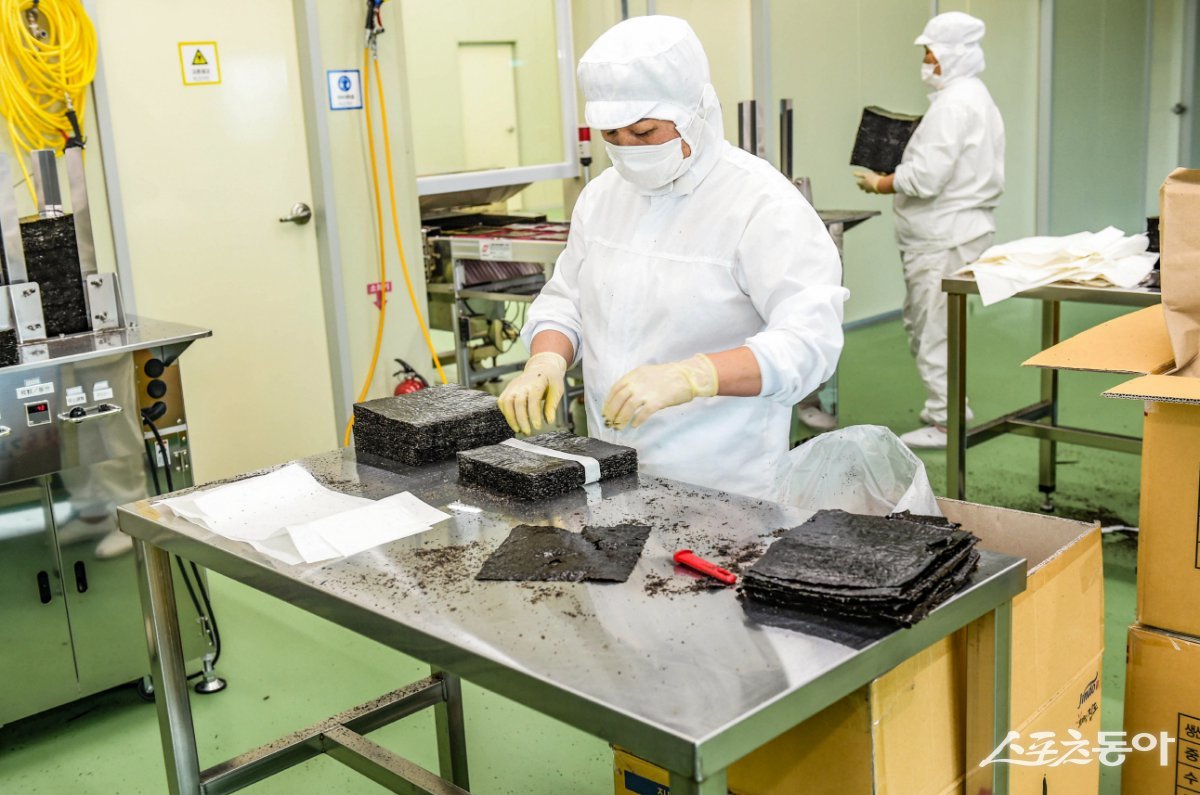 김 가공 관련 사진. 사진제공=목포시