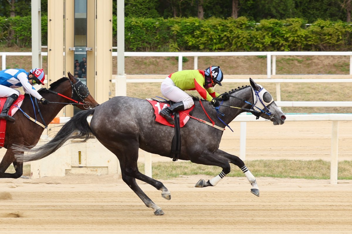 4월 27일 렛츠런파크 서울에서 열린 제36회 뚝섬배에서 즐거운여정과 서승운 기수가 가장 먼저 결승선을 통과하고 있다       사진제공 ｜한국마사회