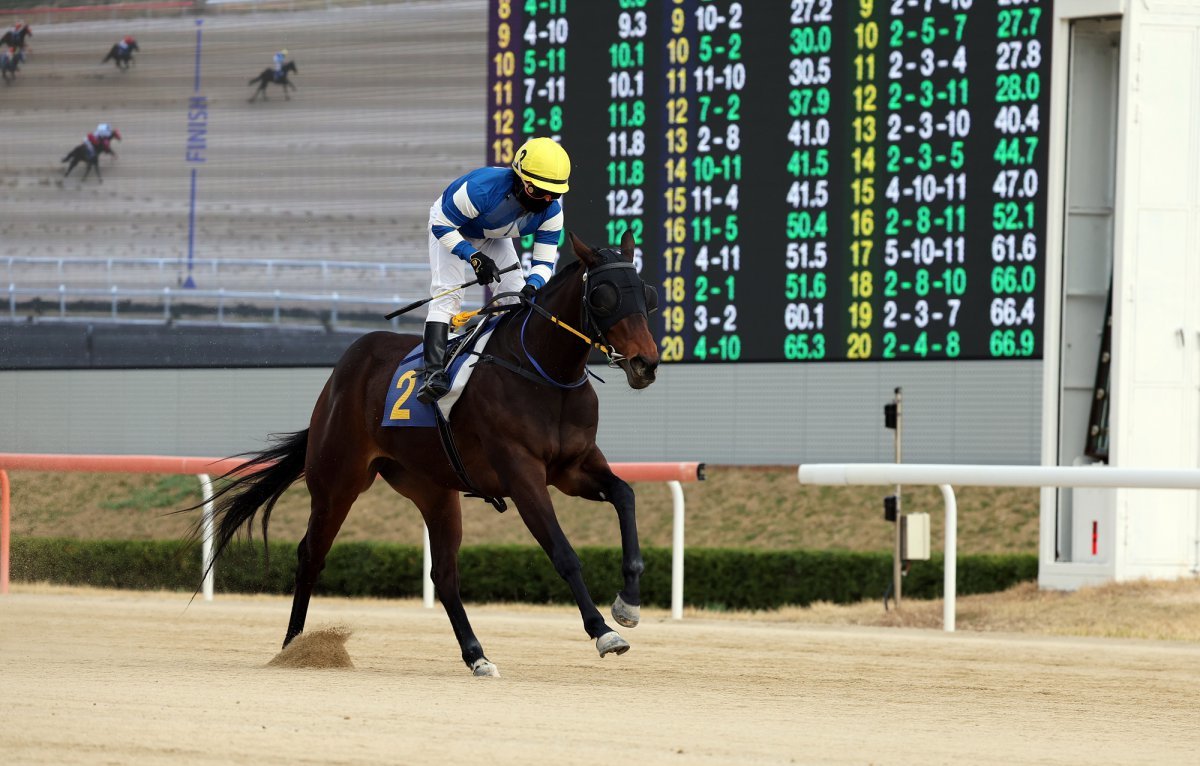 판타스틱밸류. 이번 대상경주의 강력한 우승후보로 3월 루나스테이크스 대상경주에서 우승했다   사진제공 ｜한국마사회