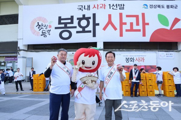박현국 봉화군수(오른쪽)와 권영준 봉화군의회 의장이 잠실야구장에서 ‘햇살듬뿍’ 봉화사과 홍보 행사를 진행하고 있다. 사진제공 ㅣ 봉화군