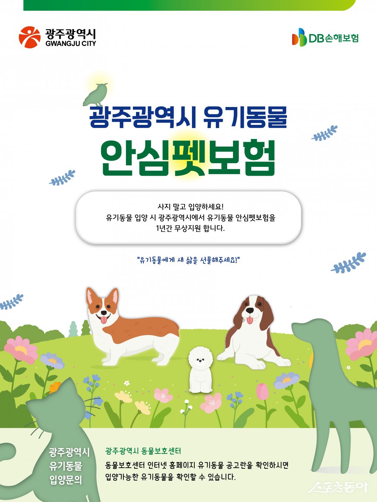 광주시 유기동물안심펫보험. 사진제공=광주광역시