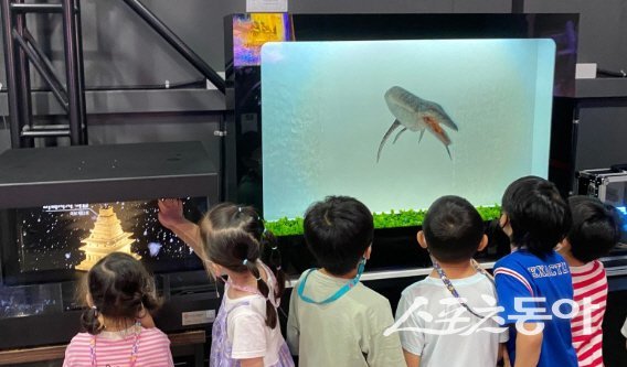 홀로그램 체험현장. 사진제공=익산시