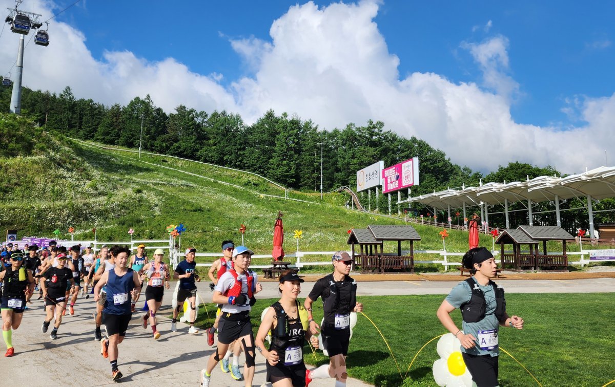 지난해 하이원리조트에서 열린 운탄고도 스카이레이스 사진제공 |강원랜드