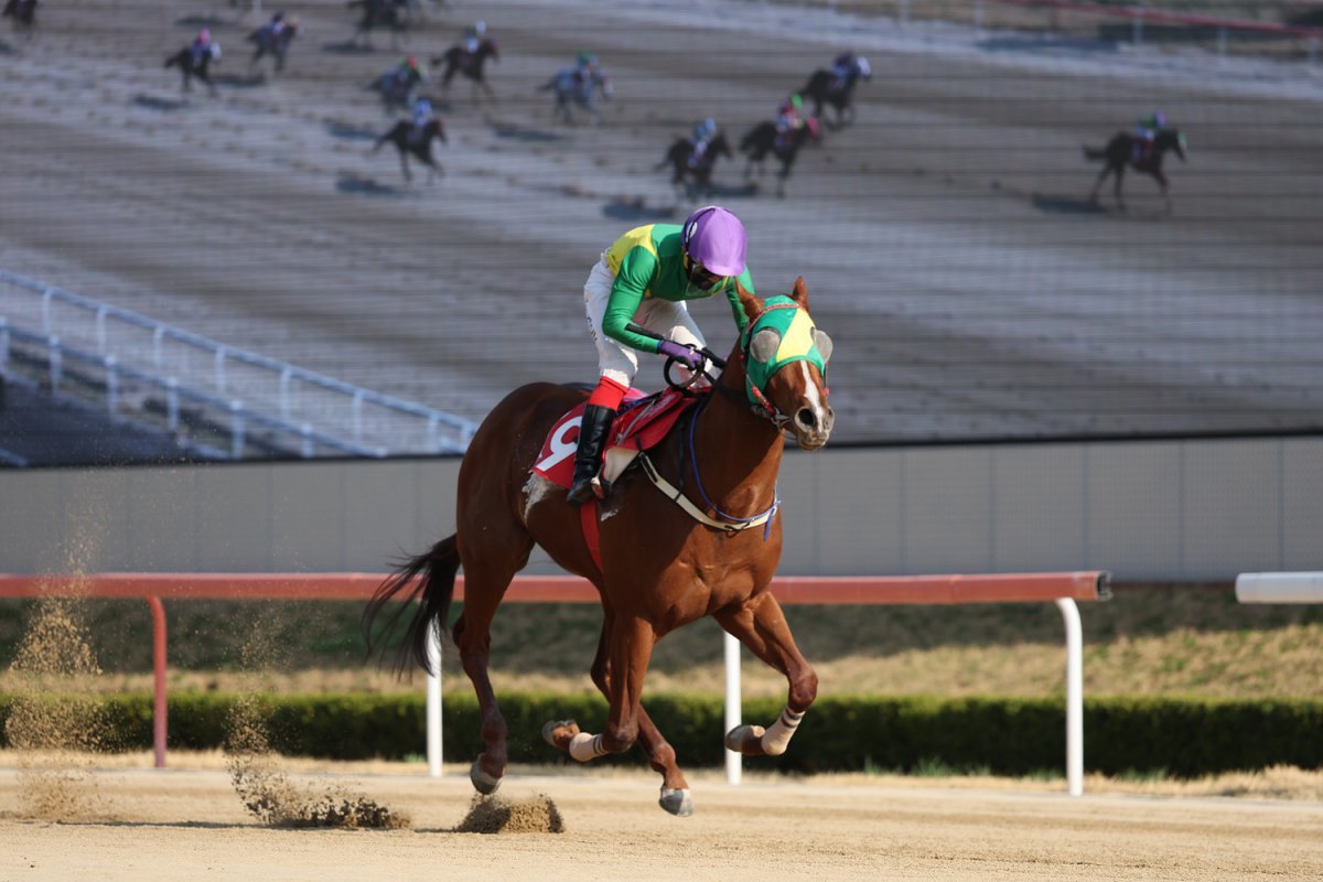 강력한 우승후보인 오아시스블루. 시리즈 첫 경주인 4월6일 KRA컵 마일 우승 모습이다        사진제공 ｜한국마사회