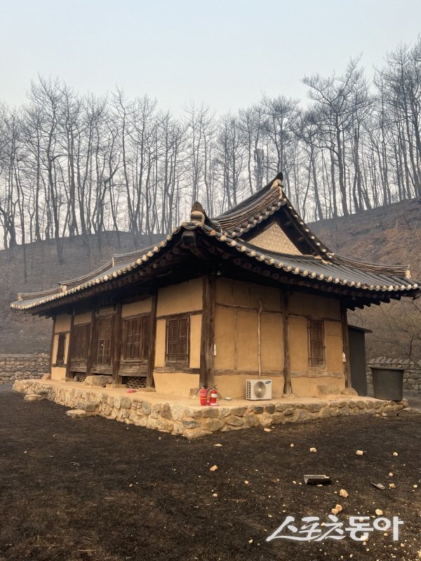경북 지역에 발생한 초대형 산불로 큰 피해를 본 안동 지례예술촌(다행히 보존된 고택).  사진제공 ㅣ 안동시