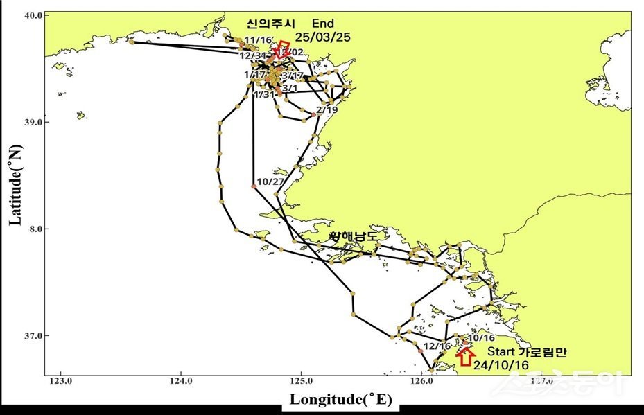 충남 서산·태안 가로림만에서 자연으로 돌아간 점박이물범 ‘봄이’와 ‘양양’이가 방류 직후 서로 다른 경로로 이동한 것으로 나타났다(점박이물범 ‘봄’이 동선). 사진제공｜충남도