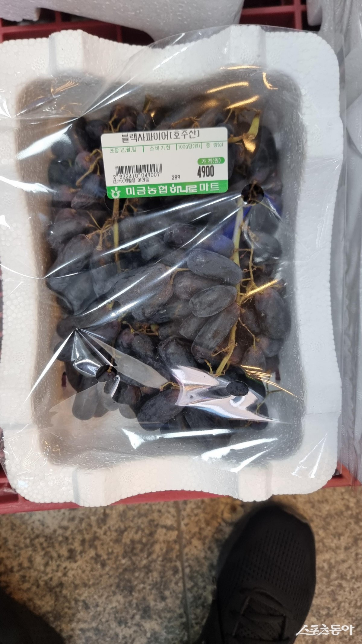 지난 5월 2일 남양주시 미금농협 하나로마트 호주산 블랙사파이어(250g) 촬영. 사진제공ㅣ고성철 기자