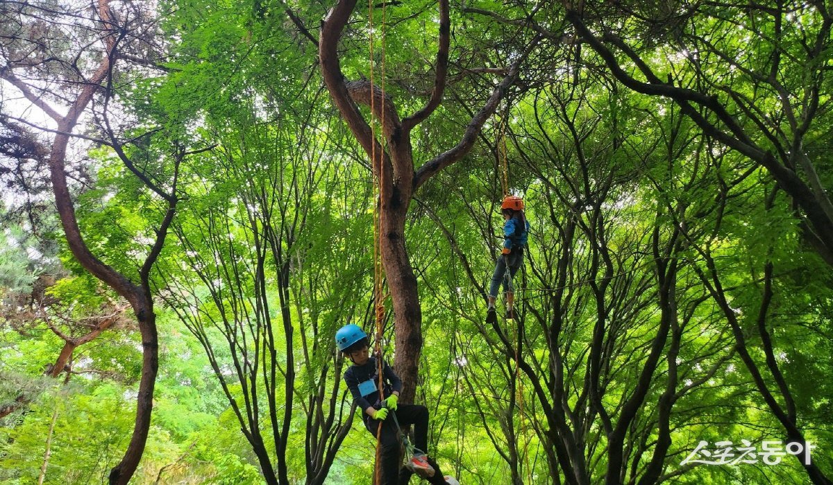 트리클라이밍.  사진제공ㅣ고양시