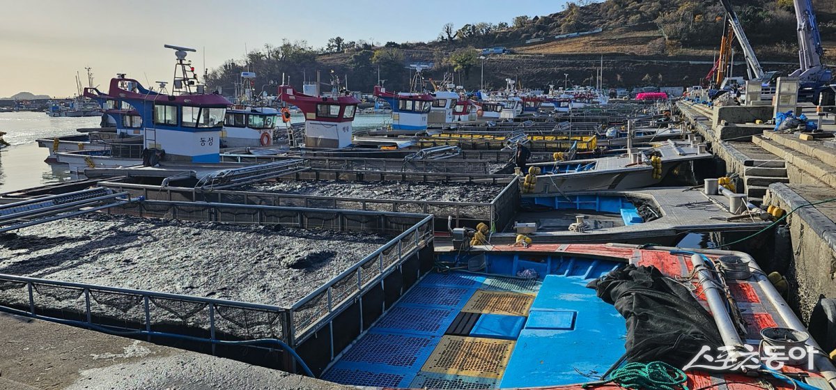 고흥군 도화발포 위판장. 사진제공=고흥군