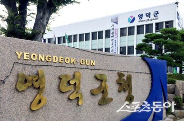 영덕군청 전경. 사진제공 ㅣ 영덕군