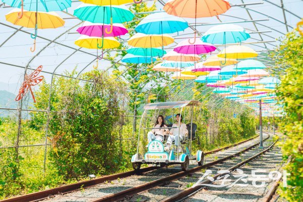 °¡Á¤ÀÇ ´Þ 5¿ù, °¡Á·°ú ÇÔ²² ¶°³ª´Â ûµµ ¿©Çà