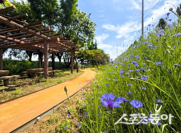 »óÁÖ½Ã, Àü±¹ ÃÖÃÊ ¡®Á¤¿øÇü ¾î½Ì±æ¡¯Á¶¼º ½Ä¹°·Î Ä¡À¯ÇÏ´Â Èú¸µ°ø°£ ź»ý