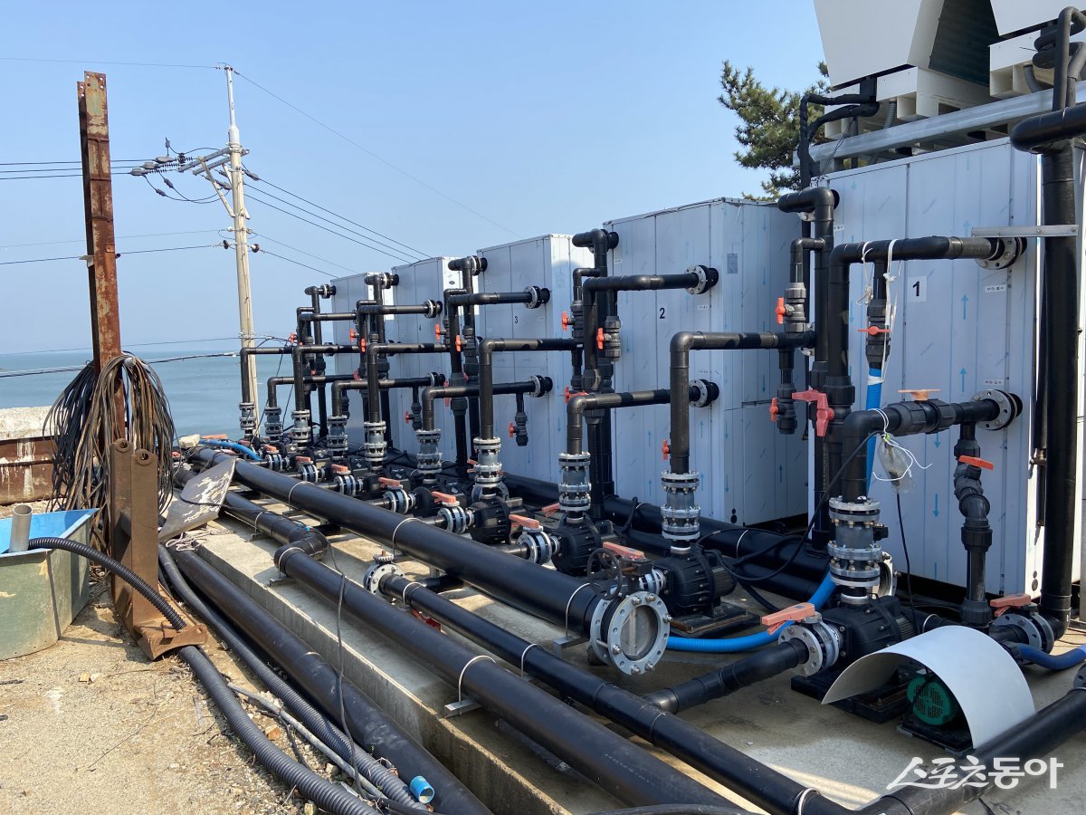 Àü³²µµ, ģȯ°æ¿¡³ÊÁö º¸±Þ¡¤¡¤¡¤¾ç½Ä¾î°¡ °æ¿µºñ Àý°¨ ±â´ë