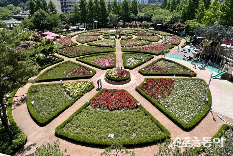 좌광천 지방정원의 중심인 윗골공원과 구목정공원에서 장미가 개화하고 있다. (사진제공=기장군)