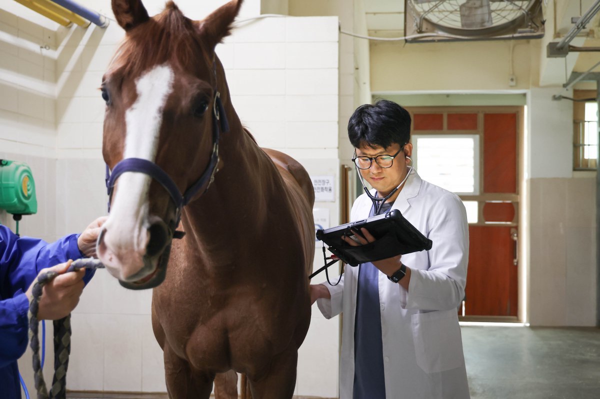 인공지능(AI) 검진 기술을 활용해 말을 진료하고 있다        사진제공｜한국마사회