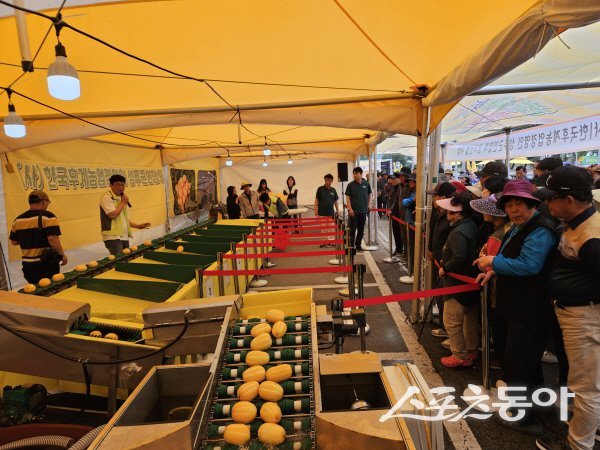 ‘2025년 성주참외&생명문화축제’가 진행되고 있는 모습. 사진제공ㅣ성주군