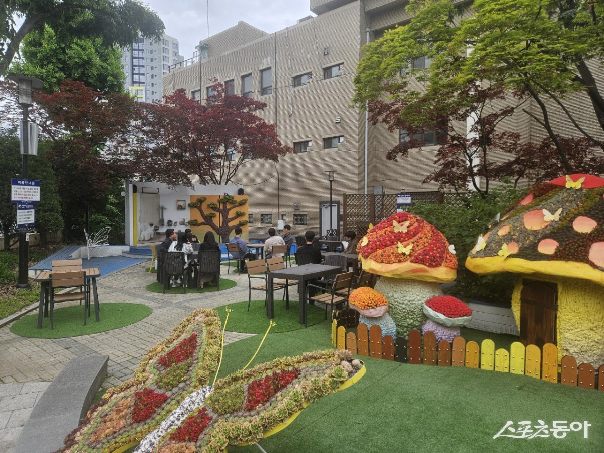 고양시청에 ‘힐링쉼터’에 전시된 꽃 전시물. 사진제공ㅣ고양시