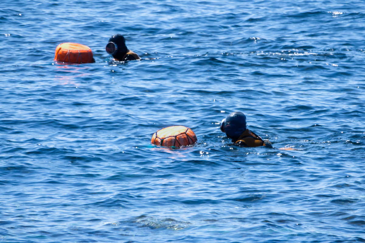 제주신화월드 ‘해녀와 바당’ 패키지                       사진제공｜제주신화월드