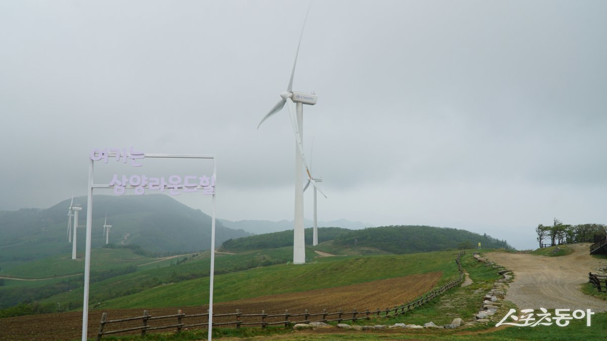 평창 삼양라운드힐 목장의 정상 동해전망대의 풍력발전기. 거센 바람과 물기를 머금은 구름이 정상을 감싸 분위기가 꽤나 극적이다 평창·영월|김재범 기자 oldfield@donga.com