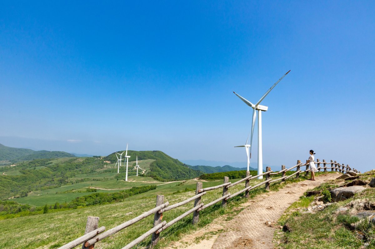 맑은 날의 삼양라운드힐 동해전망대 전경. 이름처럼 멀리 동해 바다까지 내려다 보이는 탁 트인 전망이 매력이다 사진제공 |지엔씨이십일
