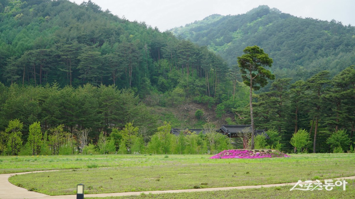 오대산 자연명상마을 옴뷔(OMV)의 ‘붓다의 정원’. 연꽃 모양으로 길을 조성했다 평창·영월|김재범 기자 oldfield@donga.com