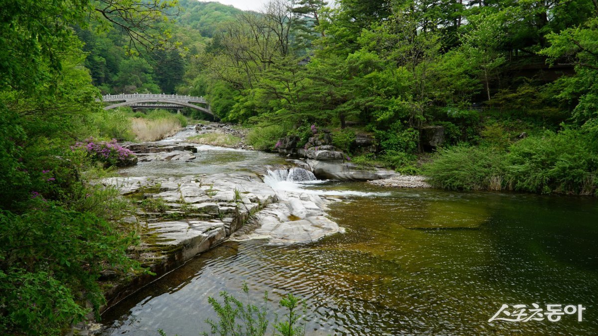 오대산 월정사 앞을 흐르는 오대천의 금강연. 한강이 시작하는 시연지로 맑은 물의 계곡과 주변 풍광이 일품으로 소문나 있다 평창·영월|김재범 기자 oldfield@donga.com