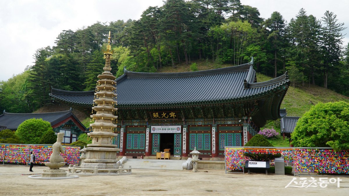 말끔해진 모습의 팔각구층석탑이 자리한 오대산 월정사 경내. 신라시대 때 지은 문수보살 성산인 오대산의 고찰이다 평창·영월|김재범 기자 oldfield@donga.com