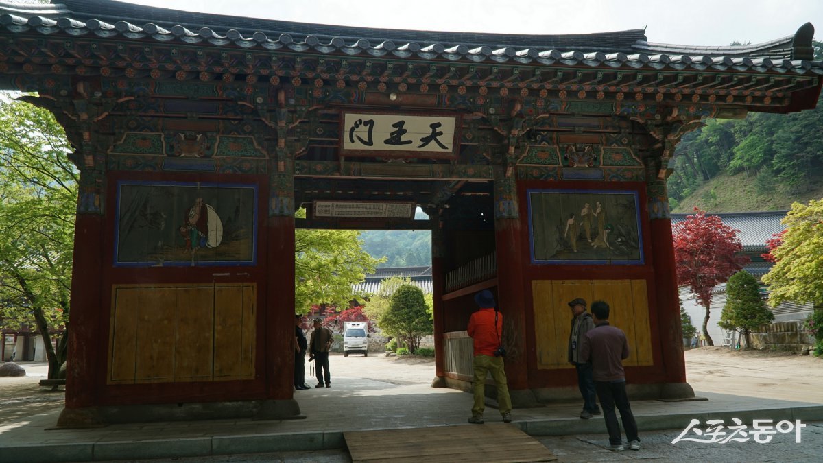 오대산 월정사 천왕문. 천년의 역사를 자랑하는 고찰이지만 6.25전쟁을 겪으면서 대부분 불에 타 새로 지었다 평창·영월|김재범 기자 oldfield@donga.com