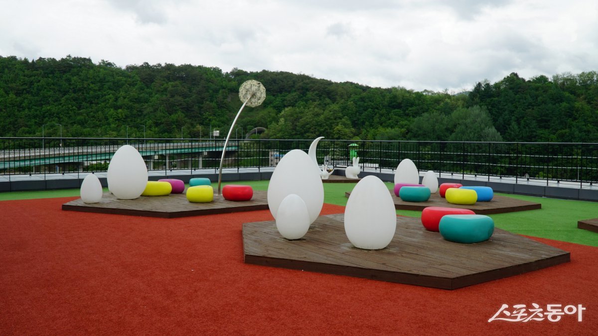 영월관광센터의 루프탑 휴식 공간. 청령포를 비롯해 영월 경관을 편히 쉬면서 즐길 수 있다 평창·영월|김재범 기자 oldfield@donga.com