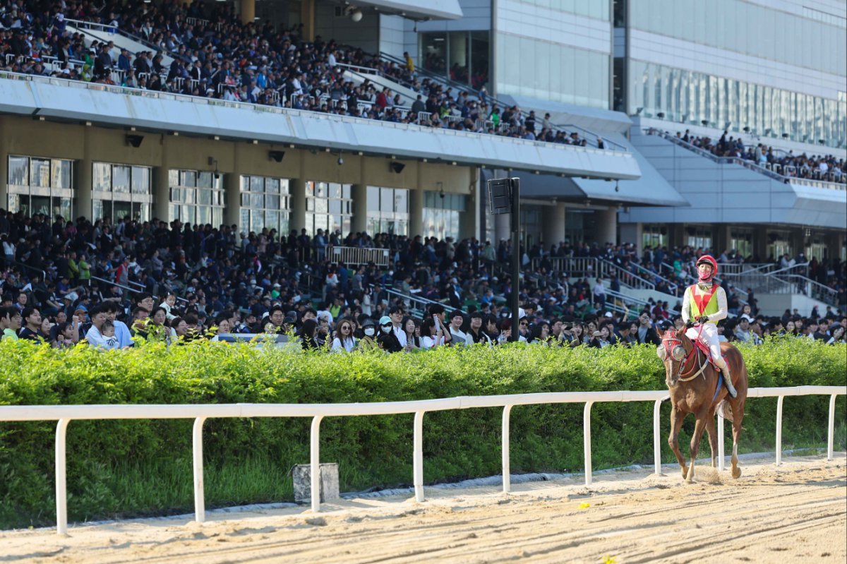 18일 렛츠런파크 서울에서 열린 서울마주협회장배에서 우승한 이후 위닝런을 하는 빈체로카발로와 조재로 기수 사진제공|한국마사회