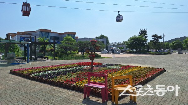 울진군이 왕피천공원에 다양한 여름꽃을 식재해 볼거리를 제공하고 있다. 사진제공 ㅣ 울진군