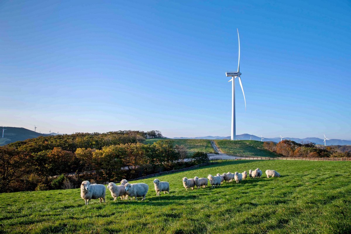 코레일관광개발 ‘평창 하루 여행’ 1코스의 방문지 삼양라운드힐         사진제공｜삼양라운드힐