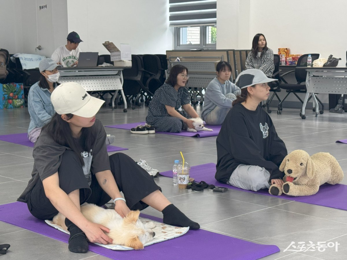 임실군이 최근 오수반려누리에서 ‘쓰담 힐링 클래스’를 운영하고 있는 모습. 사진제공=임실군