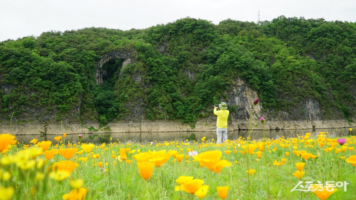단양팔경 중 하나인 석문을 제대로 감상할 수 있는 도담정원. 도담삼봉유원지 건너편 도담리 강변에 조성한 정원으로 계절마다 다양한 꽃이 피어 석문, 도담삼봉과 어우러져 멋진 경치를 만든다 단양·제천|김재범 기자 oldfield@donga.com