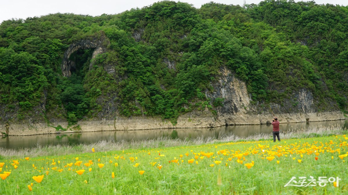 도담삼봉유원지 건너편 도담리 강변에 조성한 도담정원서 바라본 석문. 도담정원은 4만㎡ 규모의 꽃밭으로 봄의 유채꽃이나 가을의 황화국화가 만개했을 때 절경을 이루어 사진 명소로 꼽힌다 단양·제천|김재범 기자 oldfield@donga.com