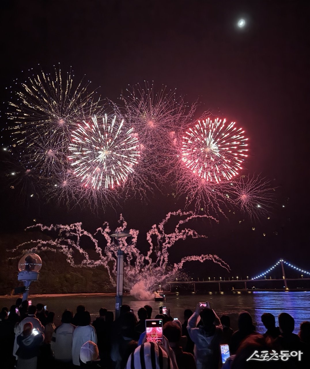 고흥군 드론쇼. 사진제공=고흥군
