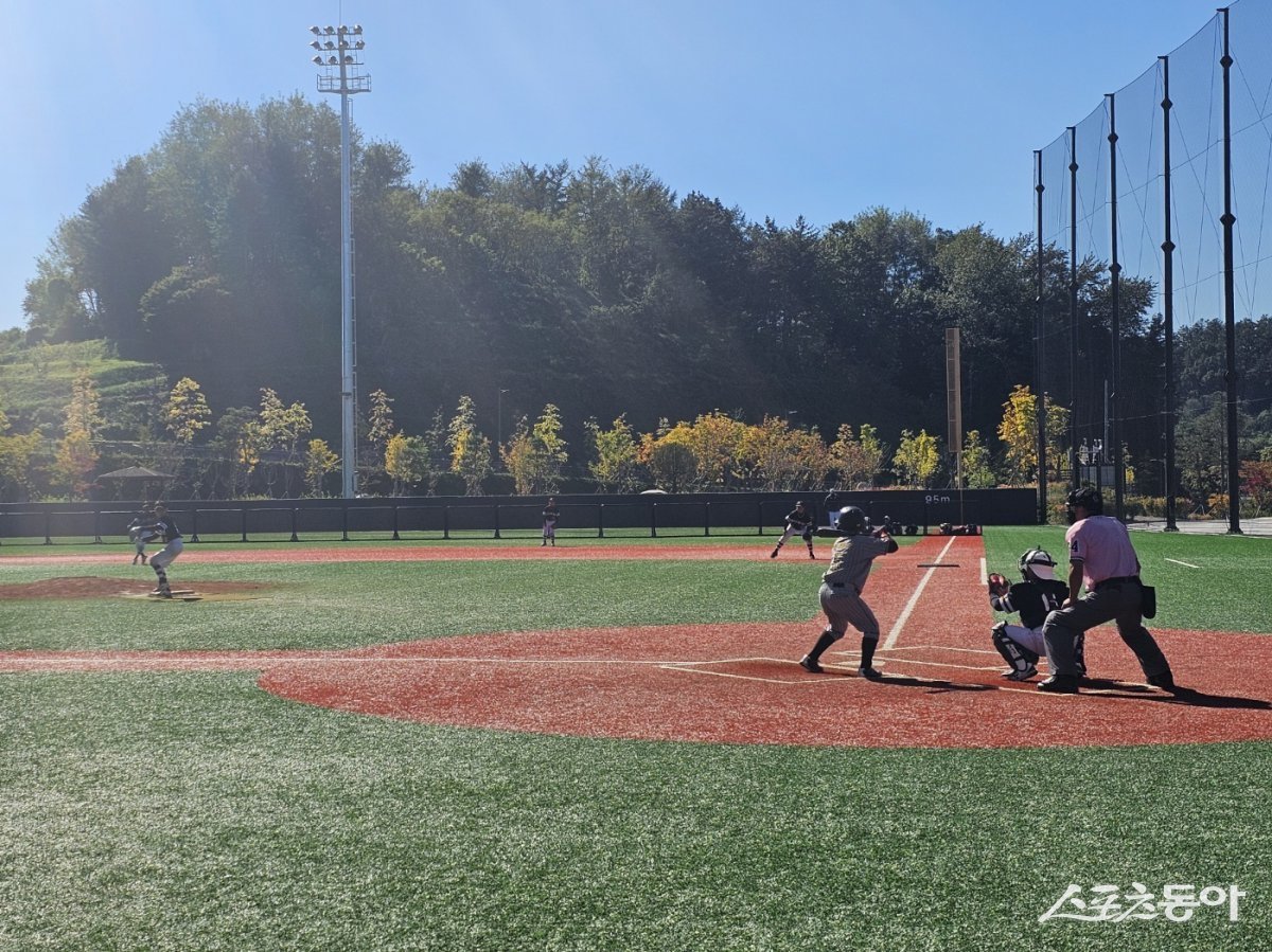 지난해 제천 의림지배 전국 유소년 야구대회 모습. 사진제공｜제천시