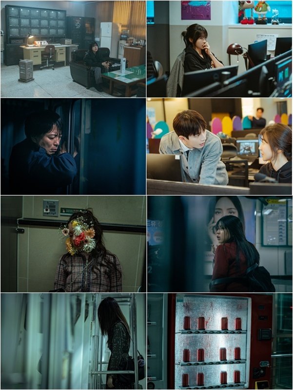 사진제공｜ NEW