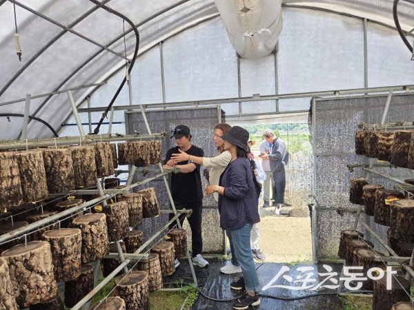 봉화 버섯학교 교육생들이 선진 버섯농장을 견학하고 있다. 사진제공 ㅣ 봉화군