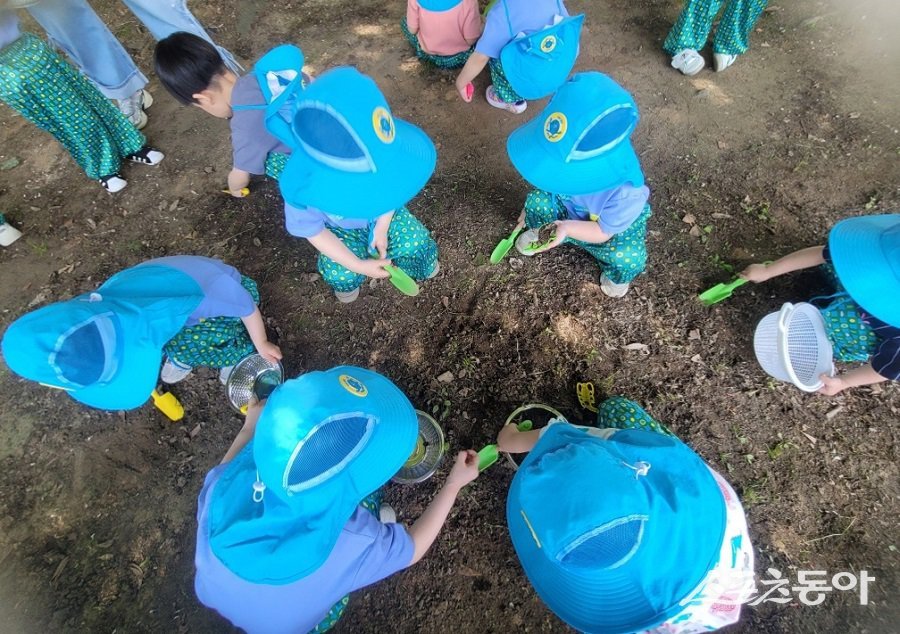 인천 미추홀구, 관내 수봉공원에서 유아들이 자연을 체험하고 있다. 사진제공|인천 미추홀구청