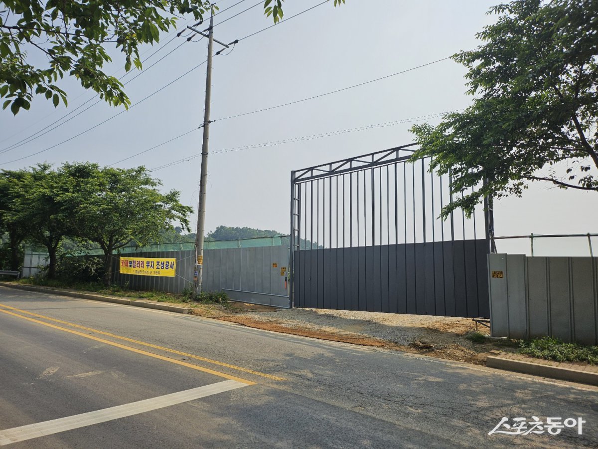 경기도 화성시 향남읍 도이리 산11번지 일대 현장 모습. 사진|장관섭 기자