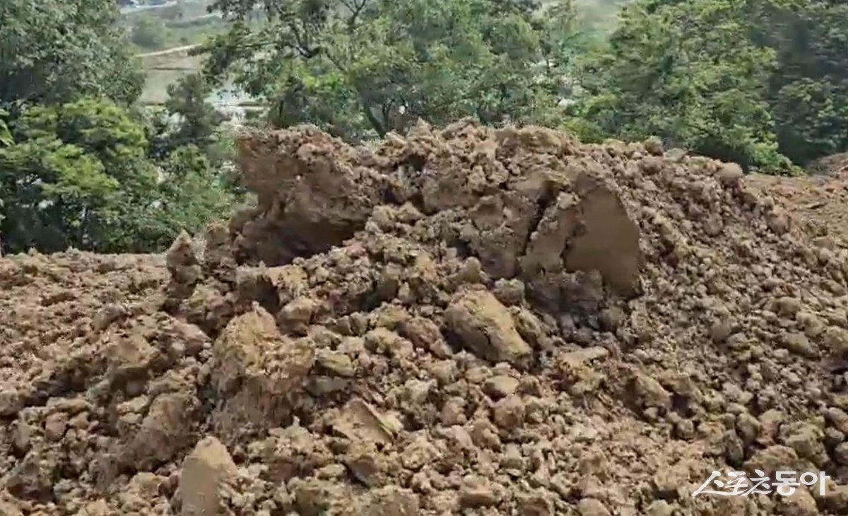 경기도 화성시 향남읍 도이리 산11번지 일대 현장 모습(사업장폐기물). 사진|장관섭 기자